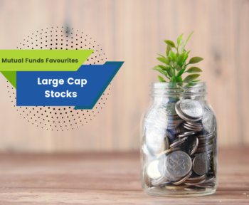 Mutual Funds Favourite Large Cap Stocks