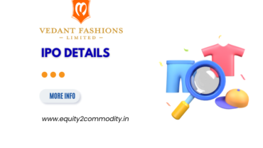 Vedant Fashions IPO Details