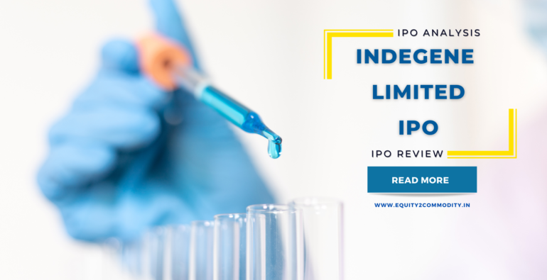 Indegene Limited IPO Details & Review