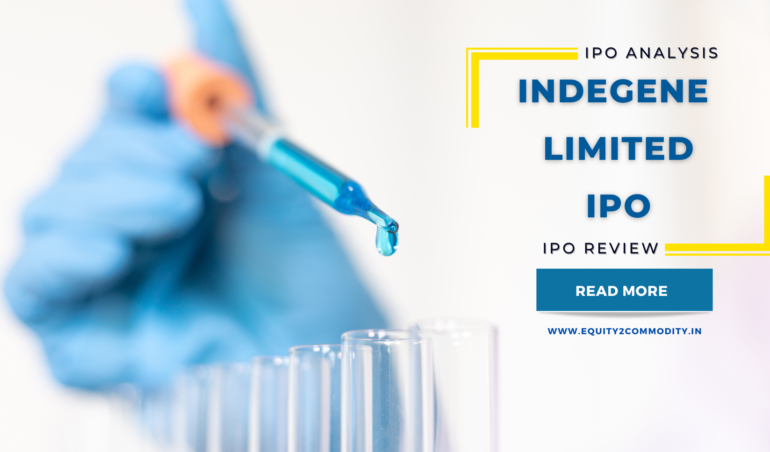 Indegene Limited IPO Details & Review