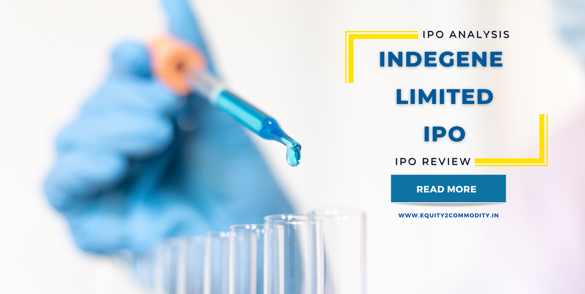 Indegene Limited IPO Details & Review